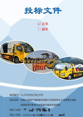 人民財產(chǎn)保險股份服務(wù)類標(biāo)書
